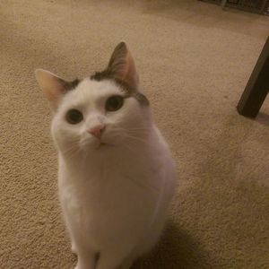 Meet your Posher, Katy